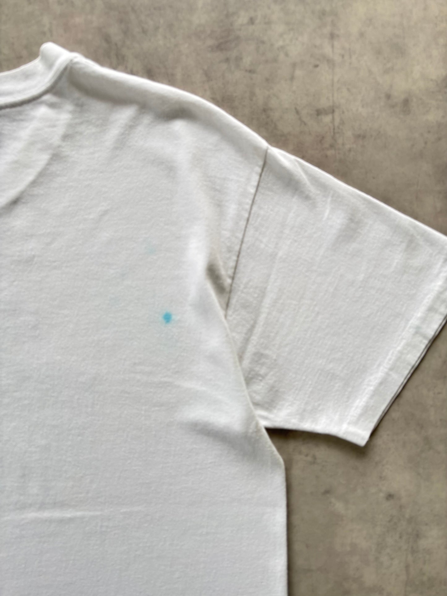 90s Hanes プリントtシャツ Made in U.S.A